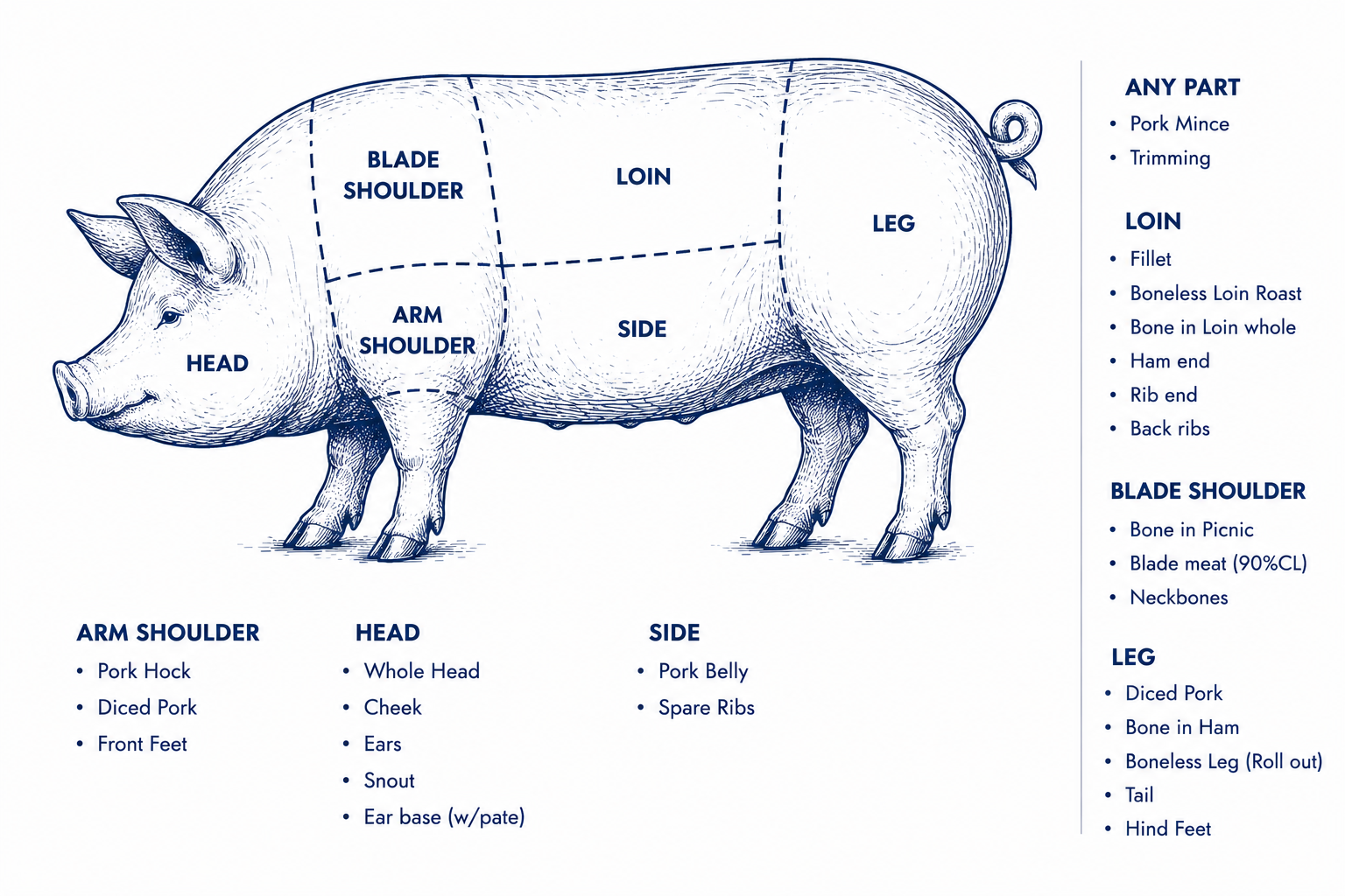 Pork cut diagram — shoulder, loin, leg, side, and head cuts