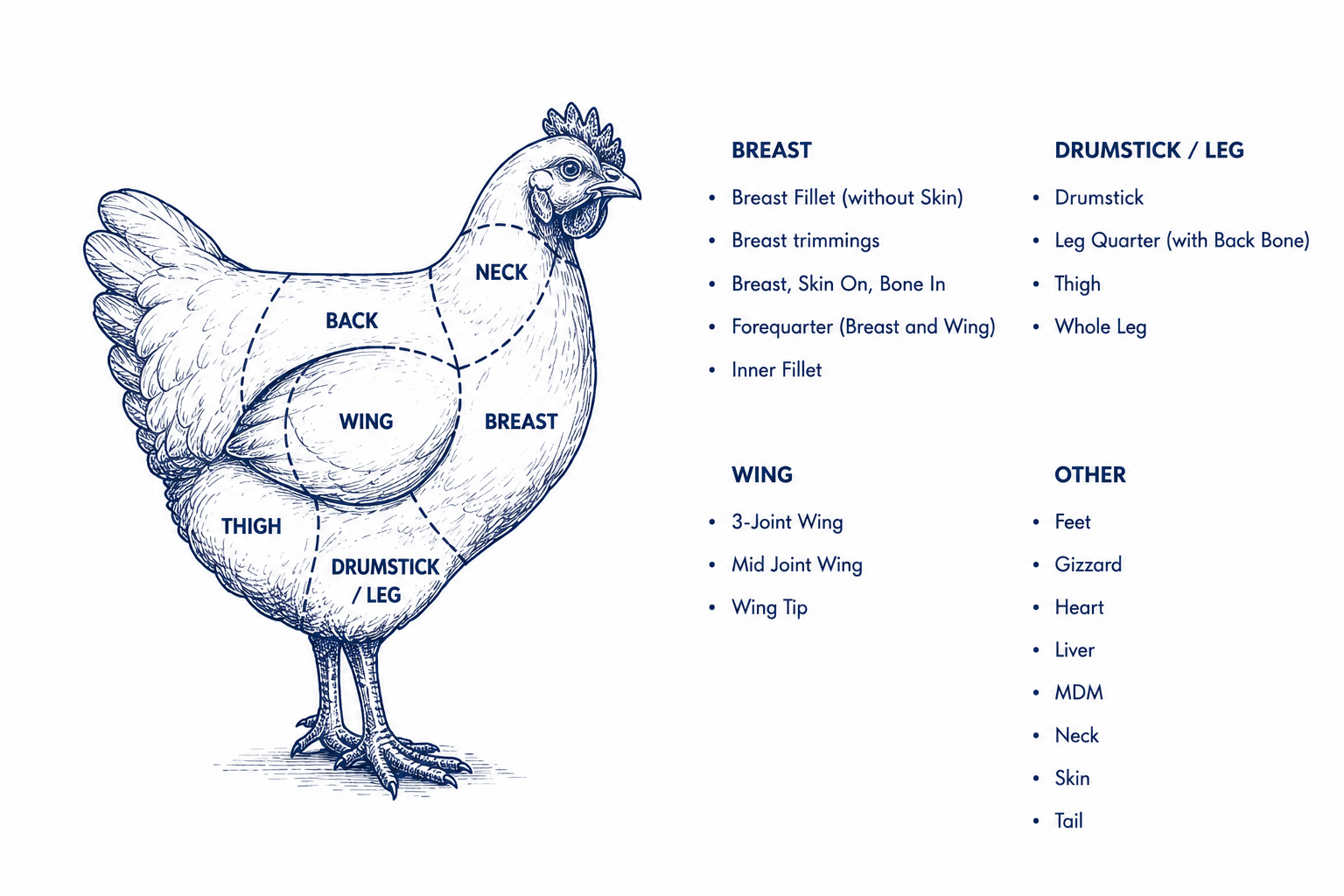 Chicken cut diagram — breast, leg and thigh, wing, drumstick, and other cuts