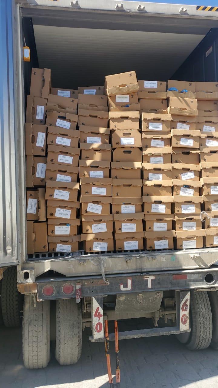 Quality Foods S.A. container loaded with product
